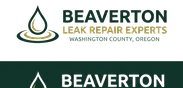 Beaverton Leak Repair Experts
